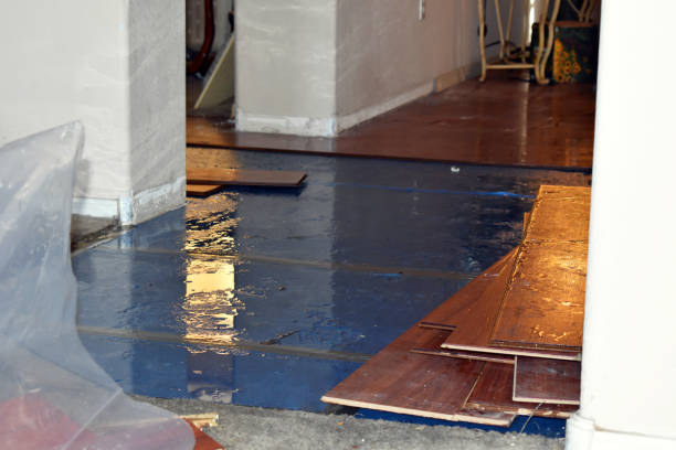Professional Basement Flood Cleanup technician working in Cohoes, NY